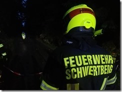 96451978_3752232051518371_1750433867312922624_n