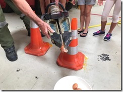 IMG-20190803-WA0014