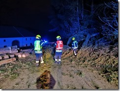 53926406_2536006523140936_436695666018746368_n