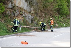 20200420153735_IMG_3673