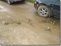 unwetter_1tag__27_20110610_1545542057