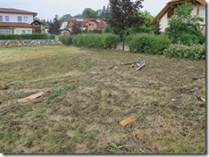 unwetter_1tag__28_20110610_1277235893