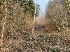 Bild: Waldbrand