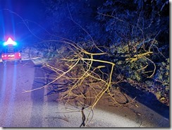 243766100_6126592800748939_1168154615321110029_n