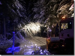 135871742_4820719101336322_2191706202582659507_o