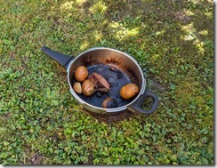 547220707_1204138485077912_1134849580597257677_n