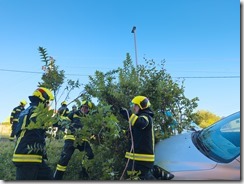 Komposthaufenbrand und Fahrzeugbergung in Schwertberg