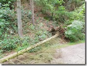 96405253_3754202867987956_8404490771880738816_n