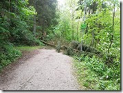 96517215_3754202444654665_3785595706681589760_n