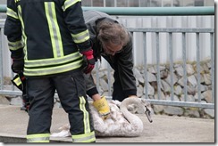 23845847_1695672860507644_140230055219708829_o