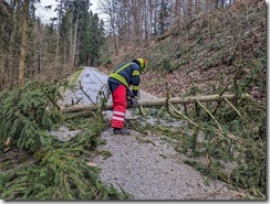 PXL_20231225_083303657