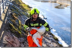 FFSCHW_Tierrettung-Schwan_20200105_3