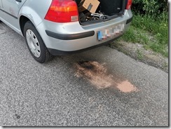 IMG_20210624_204113_edit_594356186515556