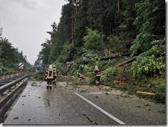 220209194_5764678803607009_6831421206487728428_n