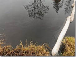 267608128_6514562425285306_3105152506022871574_n